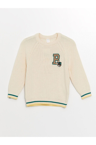 Long Sleeve Crew Neck Baby Boy Knit Sweater - LC WAIKIKI