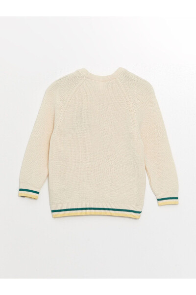 Long Sleeve Crew Neck Baby Boy Knit Sweater - LC WAIKIKI (1)