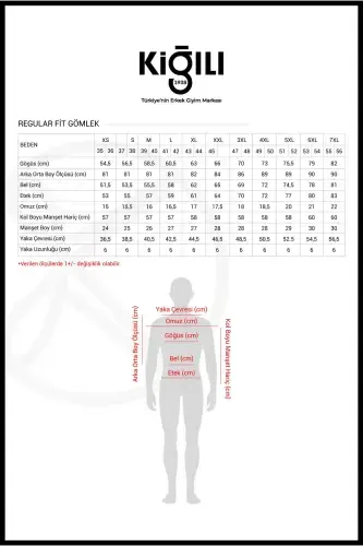 Long Sleeve Regular Fit Non Iron Wrinkle-Free Cotton Shirt-Black - 7