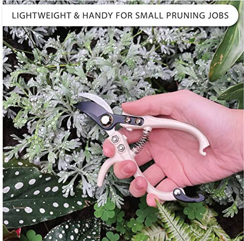 LOOPSEED Bypass Pruning Shears Hand Pruner Garden Trimming Scissors Plant Trimmers Herb Snips Flower Clippers Ergonomic Handle Modern Garden Tools (Classic Cream) - 3