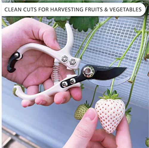 LOOPSEED Bypass Pruning Shears Hand Pruner Garden Trimming Scissors Plant Trimmers Herb Snips Flower Clippers Ergonomic Handle Modern Garden Tools (Classic Cream) - 4