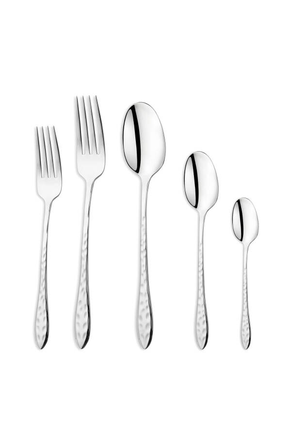 Luis 60 Piece Cutlery Set - Silver - 2