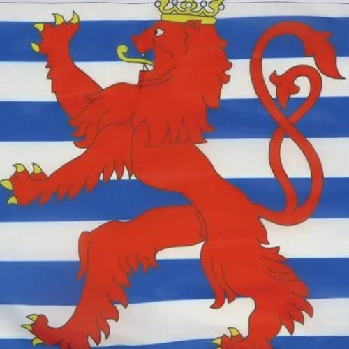 Luxembourg red lions NAUTICAL Flag 18'' x 12'' - Luxembourger coat of arms flags 30 x 45 cm. - Banner 12x18 in for boat - AZ FLAG - 3