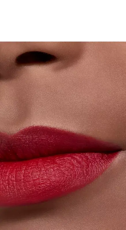Luminous Matte Lip Colour-58 ROUGE VIE - 5