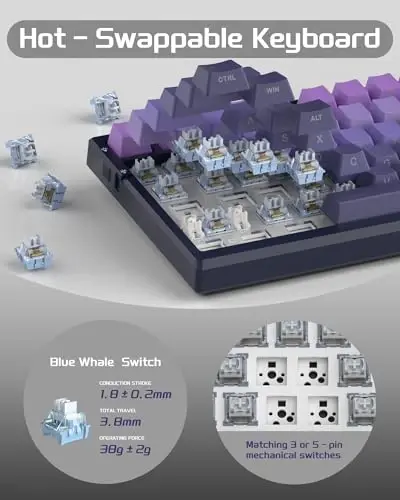 MageGee SKY81 75% Mechanical Gaming Keyboard, RGB Hot Swappable Wired Custom Creamy Keyboards with 5-Layer Sound Dampening, Knob, Side Printed Keycaps for Win/Mac (Dark Purple, Blue Whale Switch) - 4