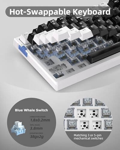 MageGee SKY81 75% Wireless Gasket Mechanical Gaming Keyboard, Hot Swappable RGB Custom Creamy Keyboard w/ 5-Layer Padding, BT/2.4G/USB-C, Knob Control, NKRO for Win/Mac (Mecha, Blue Whale Switch) - 6