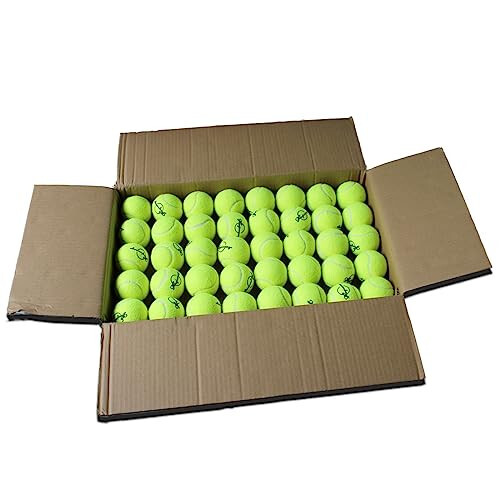 Magicorange Tennis Balls, 120 Pack Bulk Tennis Balls Pressureless Tennis Ball, Pet Dog Playing Balls, Good for Beginner Training Ball 
