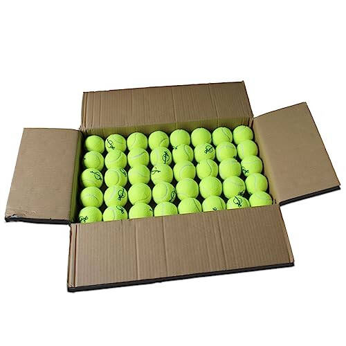 Magicorange Tennis Balls, 120 Pack Bulk Tennis Balls Pressureless Tennis Ball, Pet Dog Playing Balls, Good for Beginner Training Ball - 1