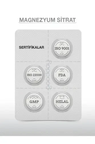 MAGNESIUM PLUS S (MAGNİY SİTRAT) & P5P - 8