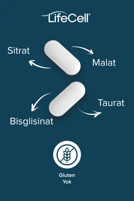Magnezyum Kompleks + Vitamin B6 ( Taurat - Bisglisinat - Malat - Sitrat ) İçeren Takviye Edici Gıda - 2