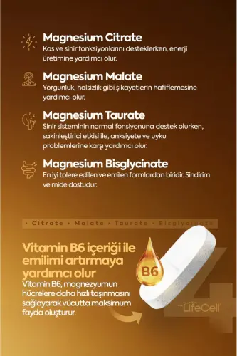Magnezyum Kompleks + Vitamin B6 ( Taurat - Bisglisinat - Malat - Sitrat ) İçeren Takviye Edici Gıda - 7