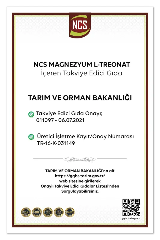 Magnezyum Magnesium L-threonate Vejeteryan 90 Bitkisel Kapsül Magnezyum L-treonat - 3