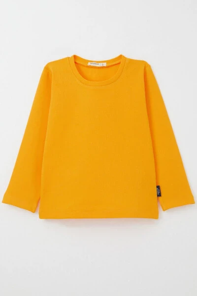 Male Baby Long Sleeve T-Shirt Basic 9 Months-3 Years, Ha - Modazone