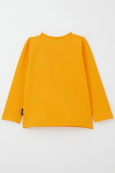 Male Baby Long Sleeve T-Shirt Basic 9 Months-3 Years, Ha - Modazone (1)