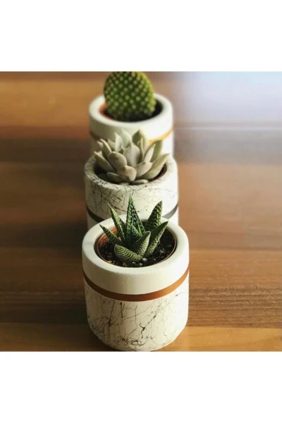 Marble Pattern Cylinder, Geometric Concrete Planter Cactus And Succulent 3 Piece Set - 8