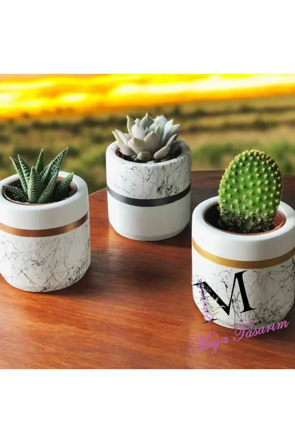 Marble Pattern Cylinder, Geometric Concrete Planter Cactus And Succulent 3 Piece Set - 1