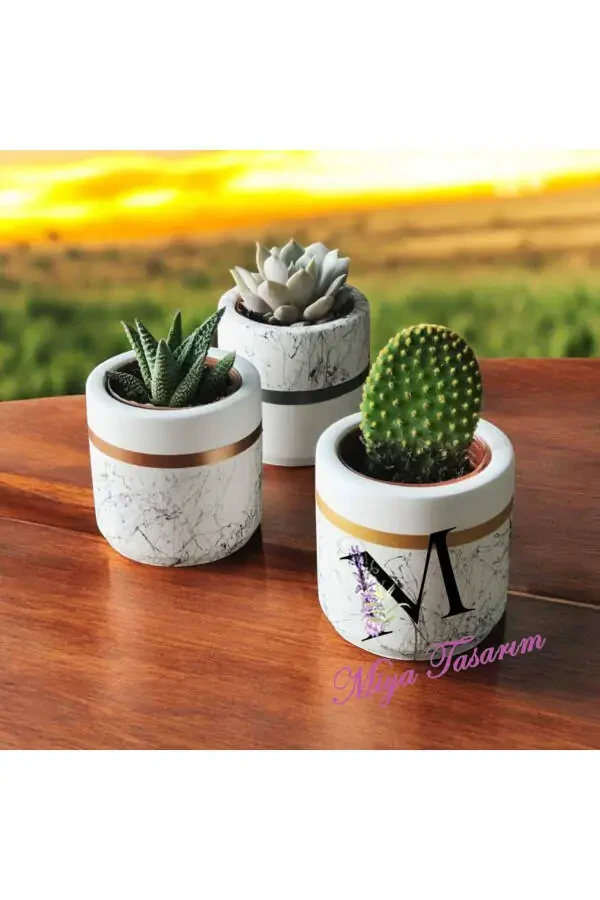 Marble Pattern Cylinder, Geometric Concrete Planter Cactus And Succulent 3 Piece Set - 2