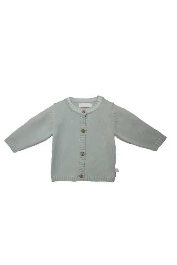 Mason Organic Baby/Kids Hoodie - 3