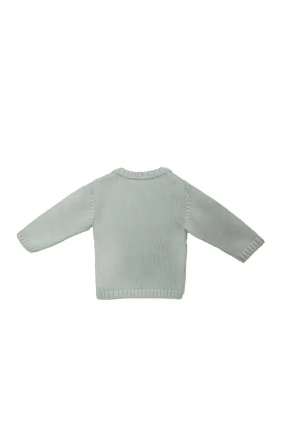 Mason Organic Baby/Kids Hoodie - 5