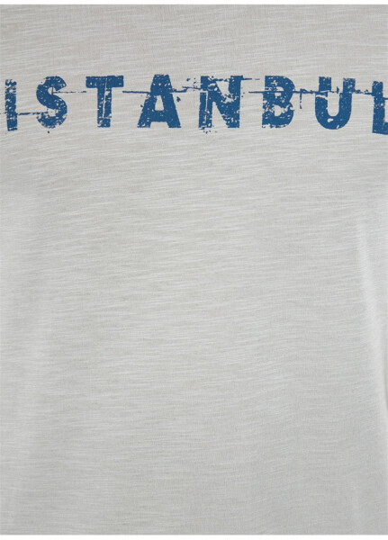 Mavi M066282-31935_Istanbul Bicycle Neck Slim Fit Printed Light Gray Men's T-Shirt - 12