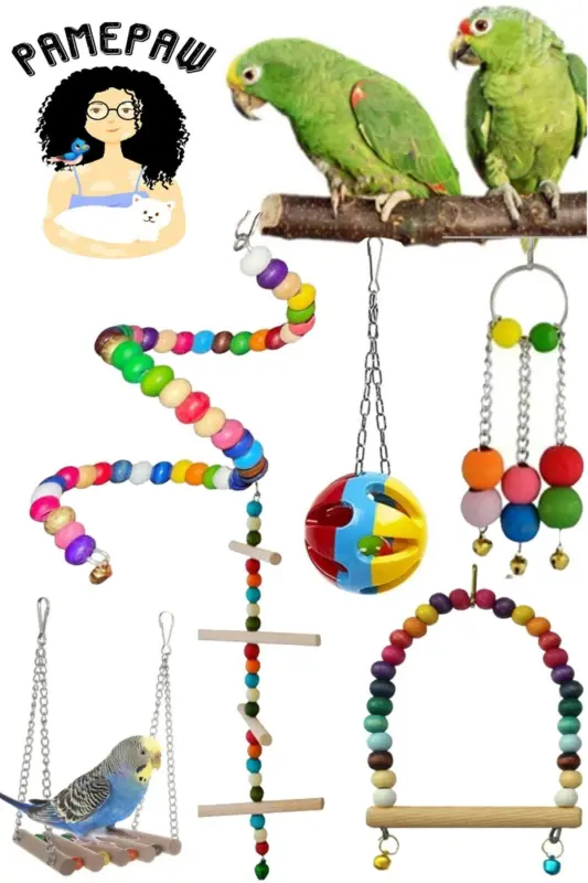 Mega Swing Toy Set of 6 for Budgies and Similar Sized Birds - 4