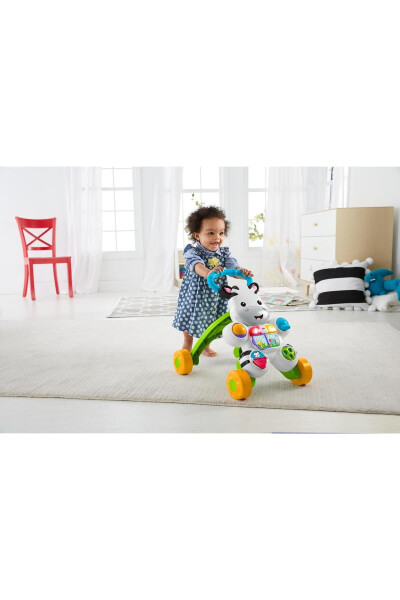 Melody Zebra Walker Dld80 - 28