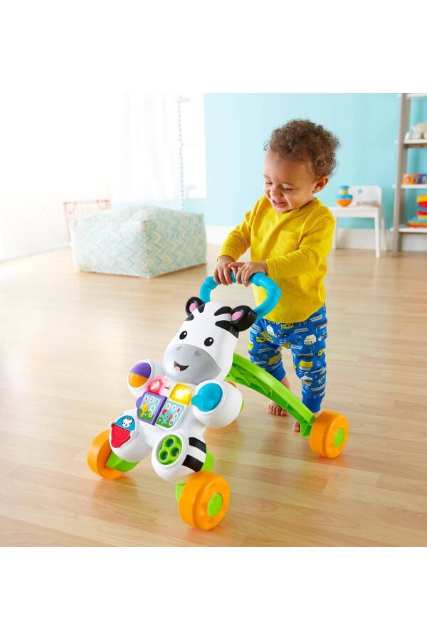 Melody Zebra Walker Dld80 - 29