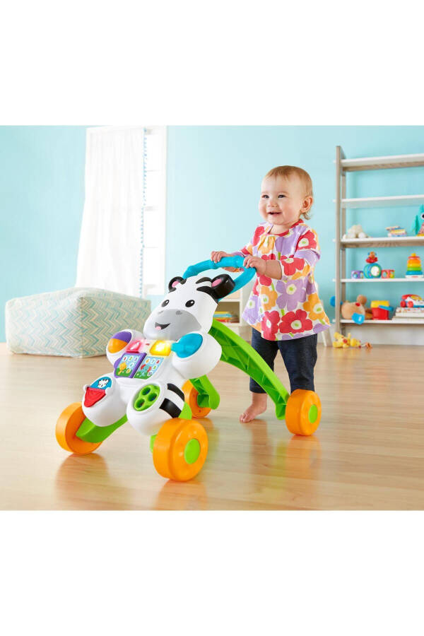 Melody Zebra Walker Dld80 - 30