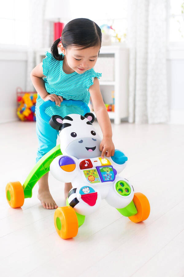 Melody Zebra Walker Dld80 - 32