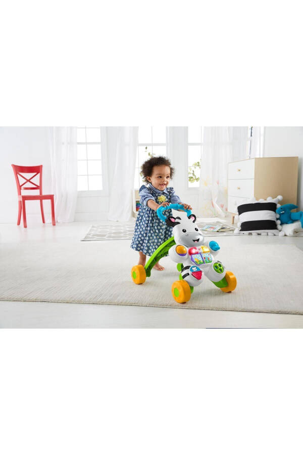 Melody Zebra Walker Dld80 - 20