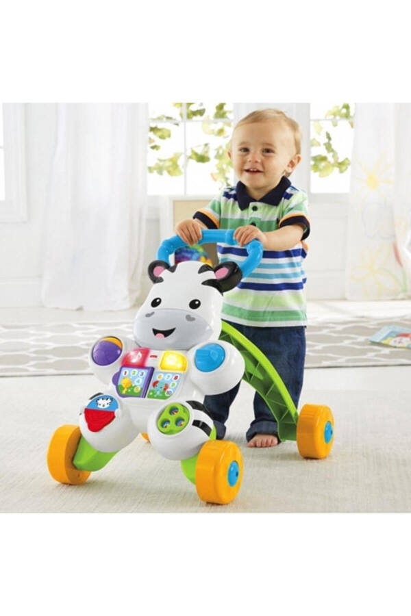 Melody Zebra Walker Dld80 - 15