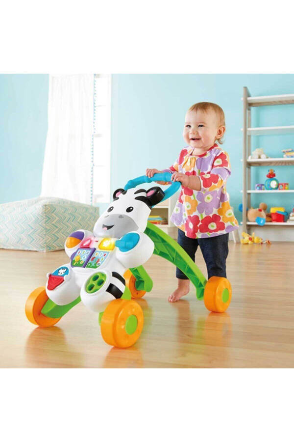 Melody Zebra Walker Dld80 - 11