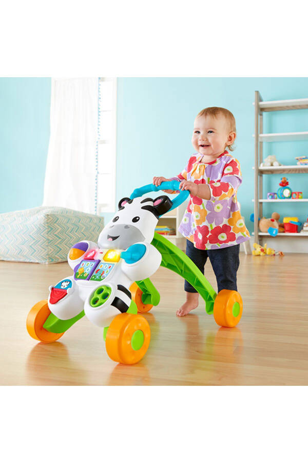 Melody Zebra Walker Dld80 - 4