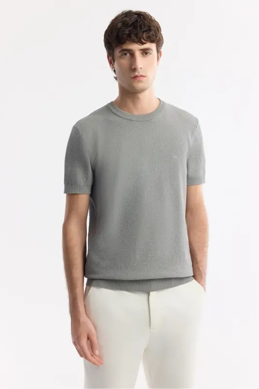 Men Grey Regular Fit Crew Neck Textured Knit T-Shirt B005119-Grey - 6