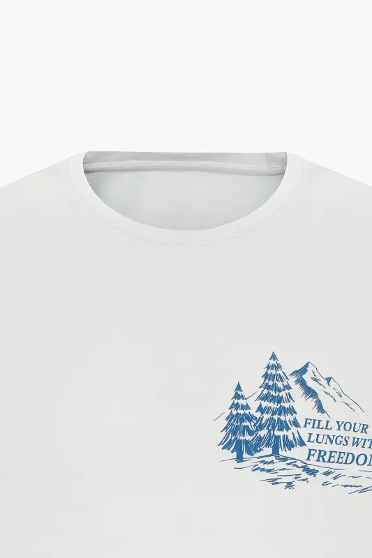 Men Light Gray Standard Fit Regular Fit 100% Cotton Crew Neck T-shirt - 4