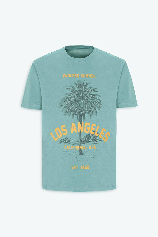 Men MINT GREEN Standard Fit Regular Cut 100% Cotton Crew Neck T-shirt - 7