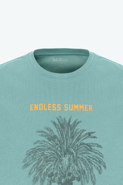Men MINT GREEN Standard Fit Regular Cut 100% Cotton Crew Neck T-shirt - 8