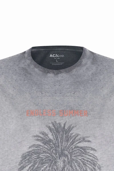 Men's Anthracite Standard Fit Regular Cut 100% Cotton Flamed Crew Neck T-Shirt - 7