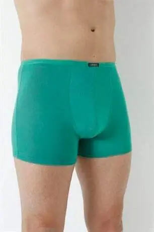 Men's Bamboo Boxer Briefs Green Elastic Waist 5-Pack - 15