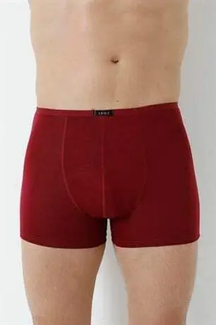 Men's Bamboo Boxers Burgundy Slim Waist Elastic 5-Pack - 14