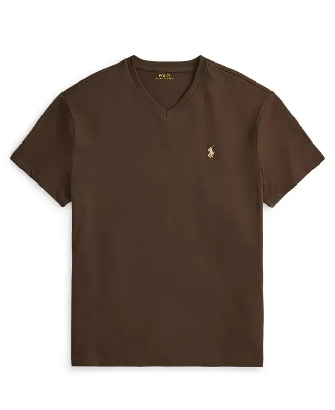 Men's Big & Tall V-Neck T-Shirt - NUTMEG BROWN/C8663 - 5