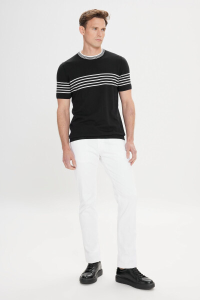 Men's Black and White Standard Fit Regular Fit 100% Cotton Striped Crew Neck Knitted T-Shirt - AC&CO / ALTINYILDIZ CLASSICS (1)