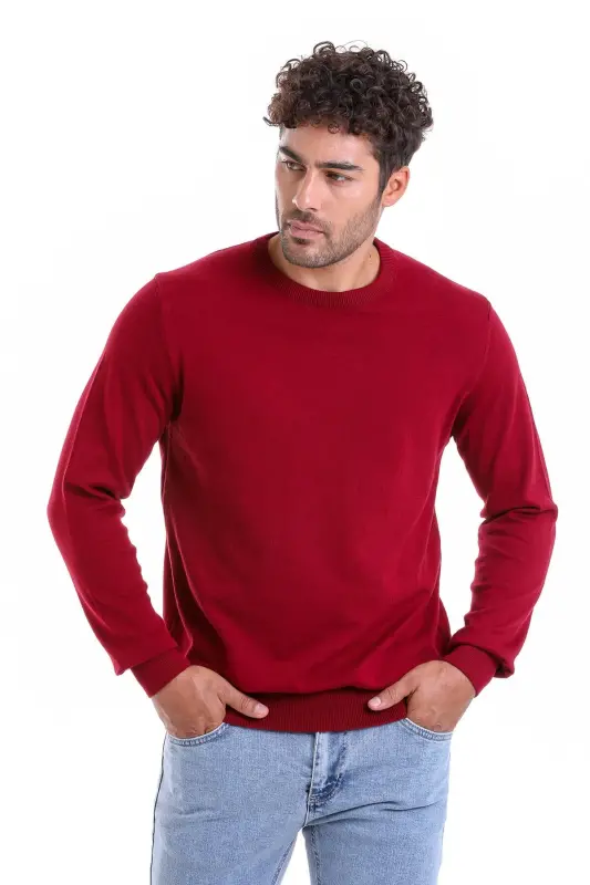Men's Burgundy Regular Fit 100% Cotton Crew Neck T - 2