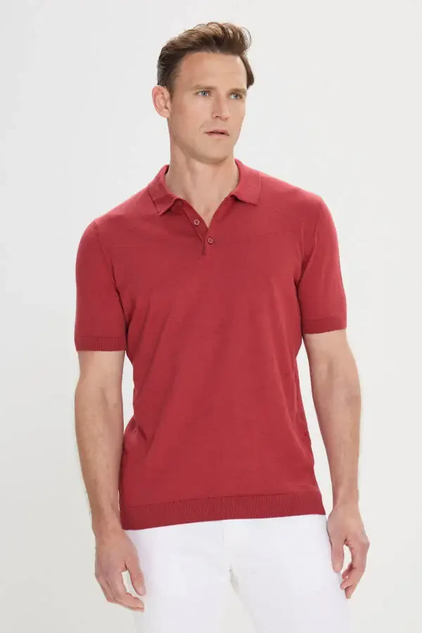 Men's Burgundy Standard Fit Regular Cut 100% Cotton Self-Patterned Polo Neck Knitted T-Shirt - 1