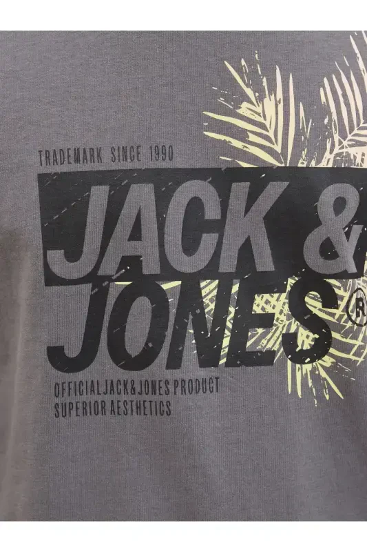 Men's Crew Neck Logo Printed T-Shirt Gray-Gray - 4