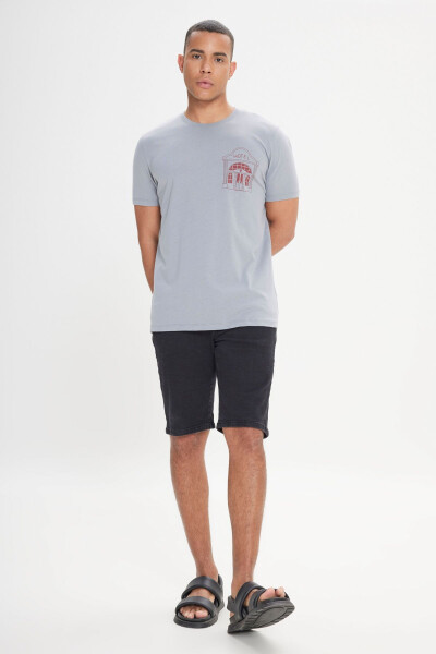 Men's Gray Standard Fit Regular Fit 100% Cotton Printed Crew Neck T-Shirt - 12