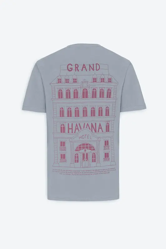 Men's Gray Standard Fit Regular Fit 100% Cotton Printed Crew Neck T-Shirt - 1
