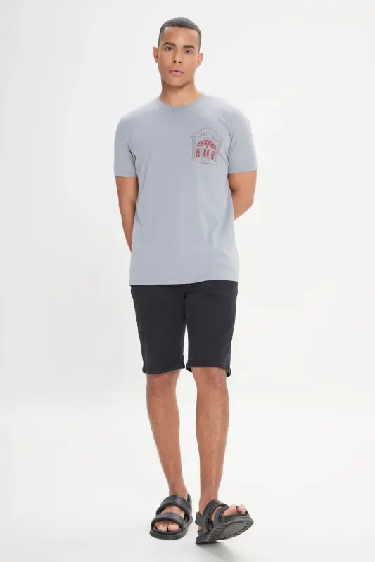Men's Gray Standard Fit Regular Fit 100% Cotton Printed Crew Neck T-Shirt - 7