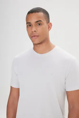 Men's Gray-White Easy Iron Slim Fit Narrow Cut Crew Neck Jacquard T-shirt-Gray - 3