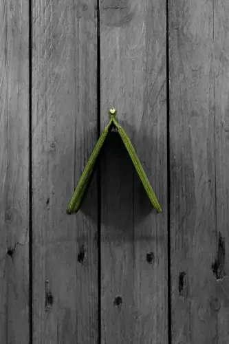 Men's Green Wallet Cardholder Natural Money Clip Gift Box Genuine Leather Wallet Cardholder | Larga-Green - 5